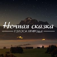 Ночная сказка